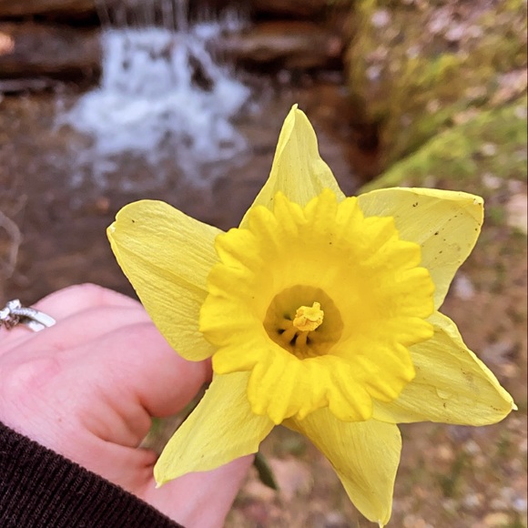 Meet your Posher, Emily - Picture 14 of 14